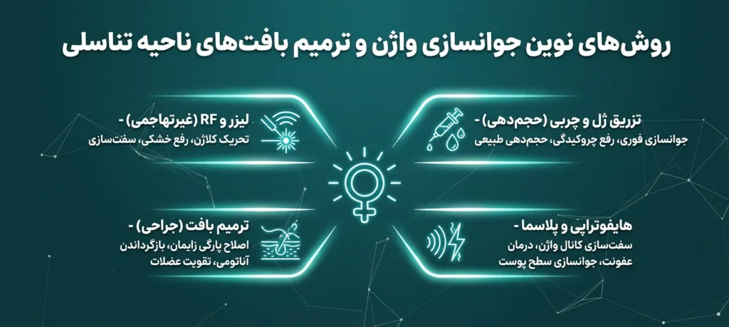 اینفوگرافی انواع جوانسازی واژن