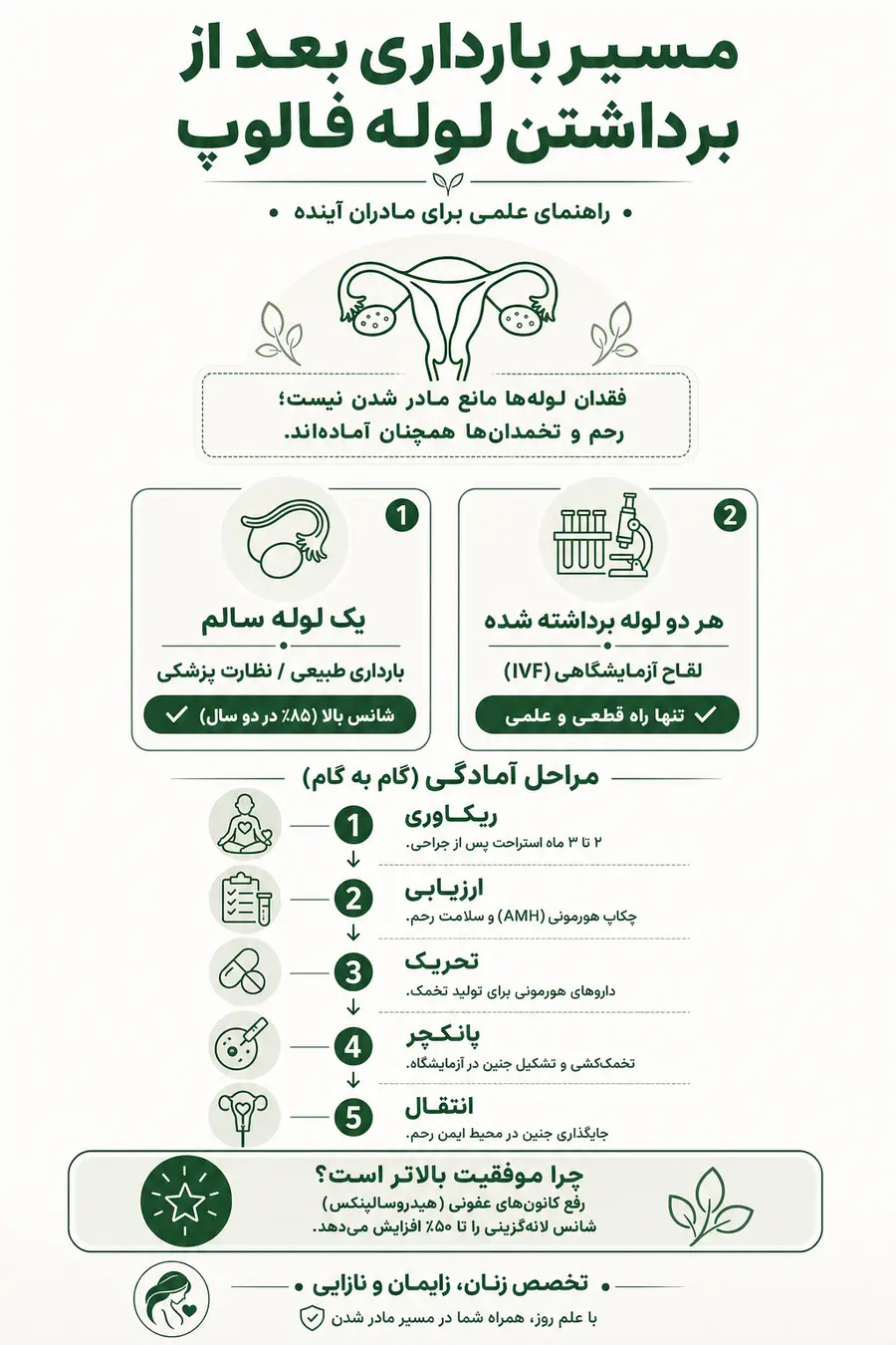 اینفوگرافیک - مسیر بارداری بعد از برداشتن لوله فالوپ