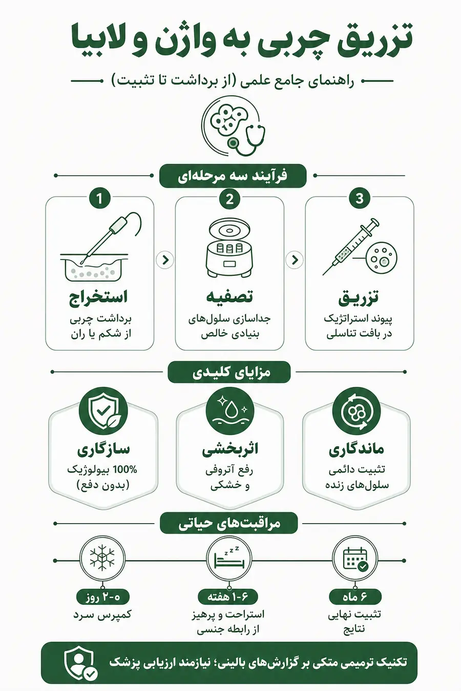 اینفوگرافیک - فرآیند و نحوه تزریق چربی به واژن و لابیا