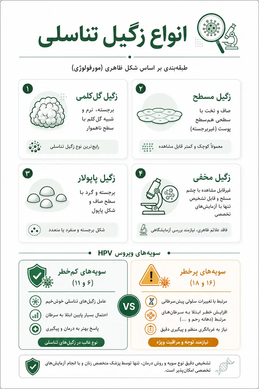 اینفوگرافیک - آشنایی با انواع زگیل تناسلی _ چند نوع زگیل تناسلی داریم
