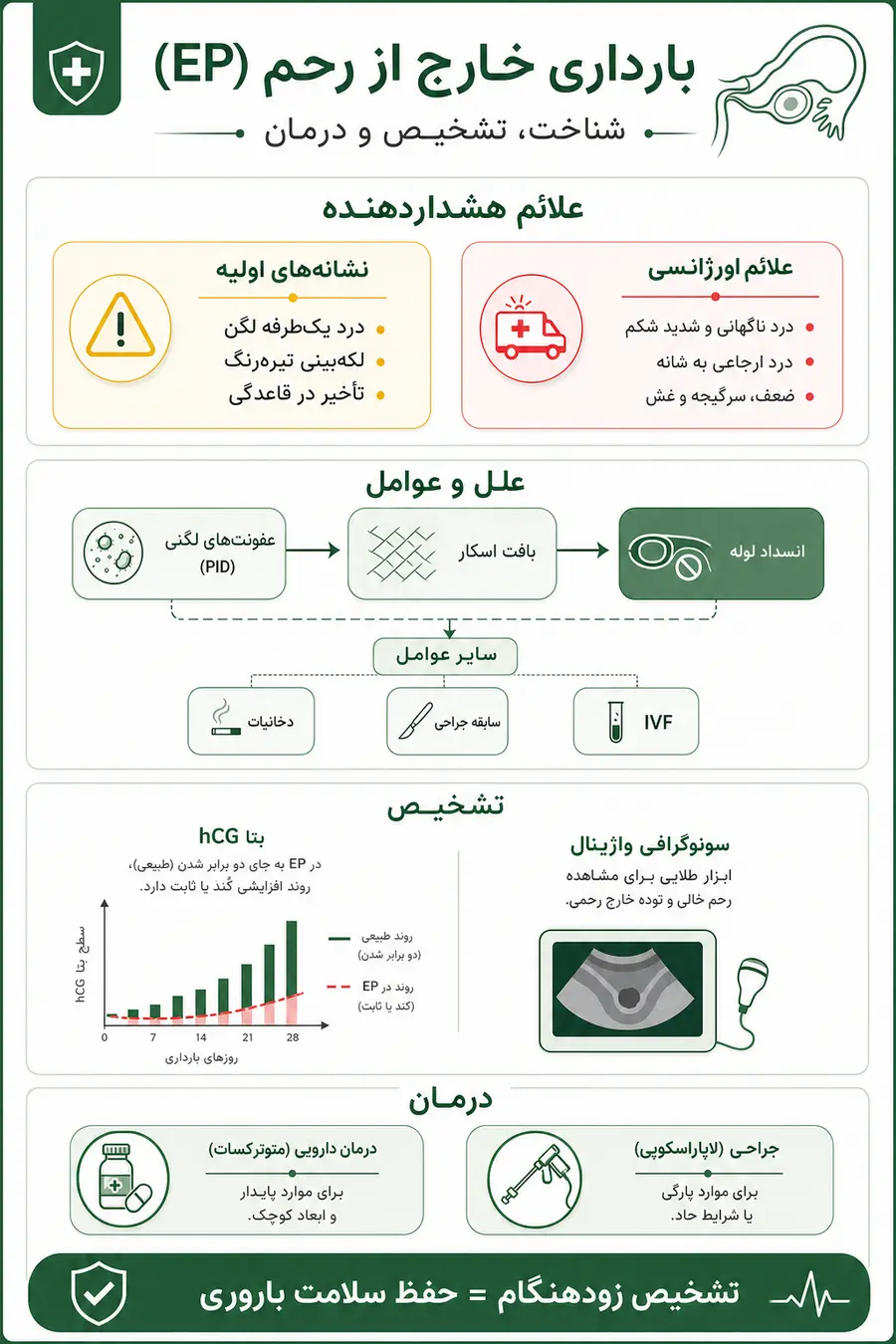 اینفوگرافیک - بارداری خارج از رحم EP _ علت، علائم، خطرات و درمان حامگی خارج از رحم
