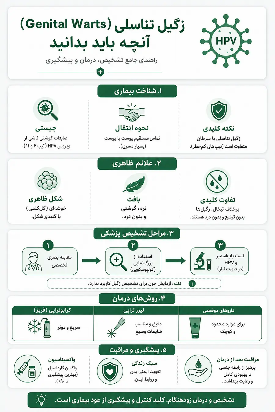 اینفوگرافیک - همه چیز درباره زگیل تناسلی