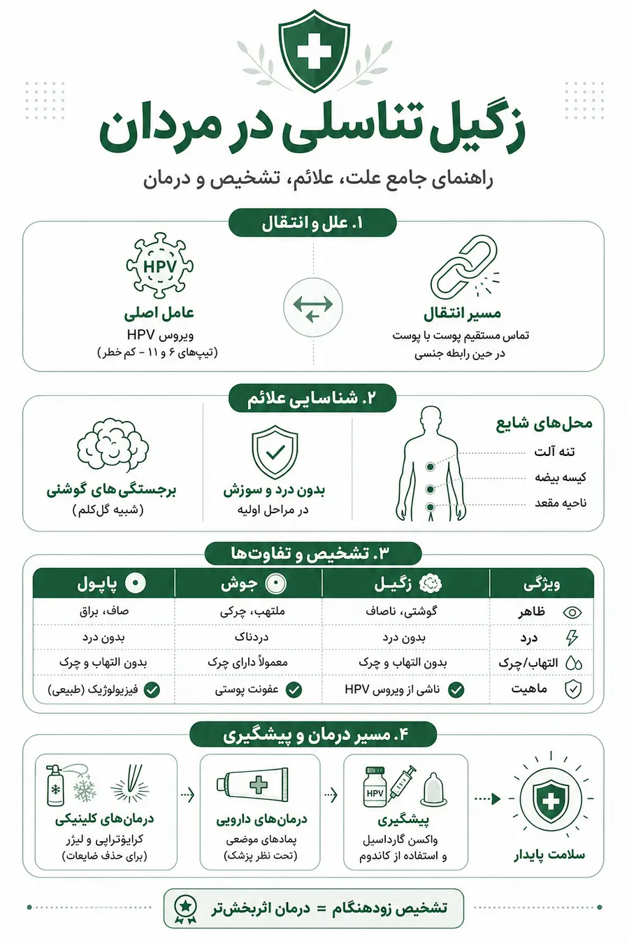 اینفوگرافیک - زگیل تناسلی در مردان _ علت، علائم، تشخیص و درمان