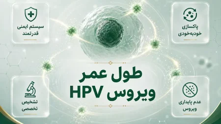 طول عمر ویروس hpv